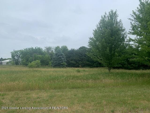 2875 Trillium Creek Way, Saint Johns, MI 48879 - photo 4