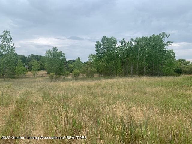 2875 Trillium Creek Way, Saint Johns, MI 48879 - photo 9