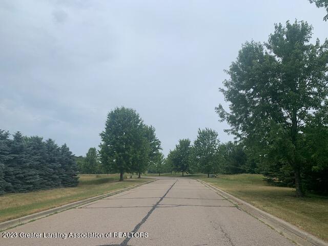 2851 Trillium Creek Way, Saint Johns, MI 48879 - photo 2
