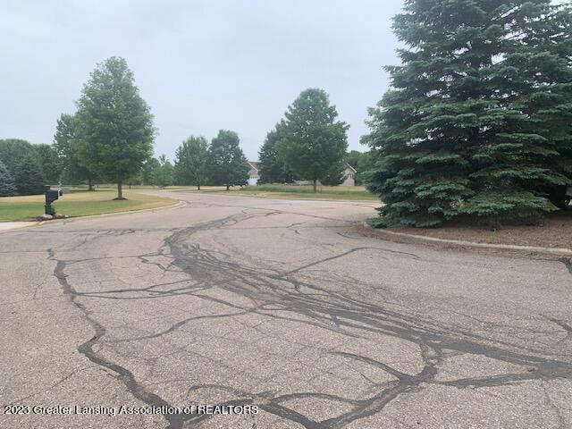 2851 Trillium Creek Way, Saint Johns, MI 48879 - photo 20