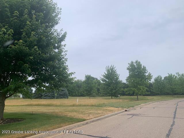 2851 Trillium Creek Way, Saint Johns, MI 48879 - photo 21