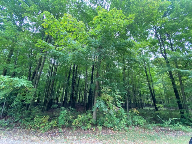 V/L4 Brookshire Dr, Chesaning, MI 48616