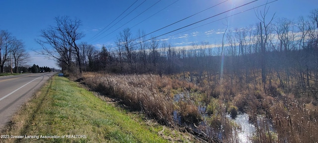 0 Holt Rd, Holt, MI 48842 - photo 6