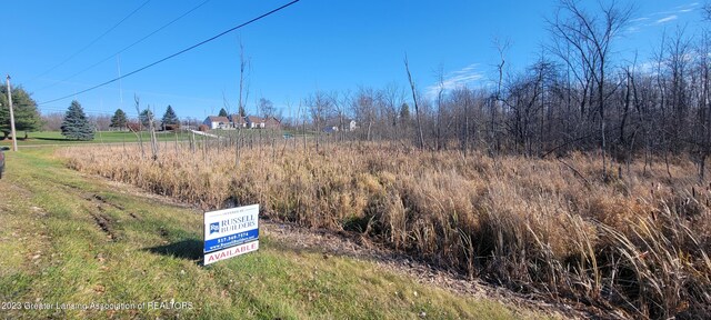 0 Holt Rd, Holt, MI 48842 - photo 8