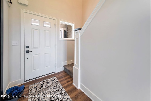 foyer with dark wood-type flooring