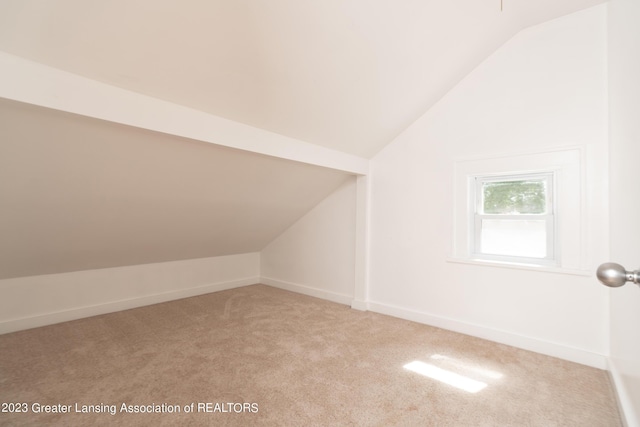 additional living space with lofted ceiling and light colored carpet