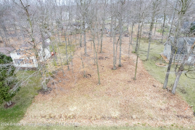 159 Hardwood Trl, Perrinton MI, 48871 land for sale