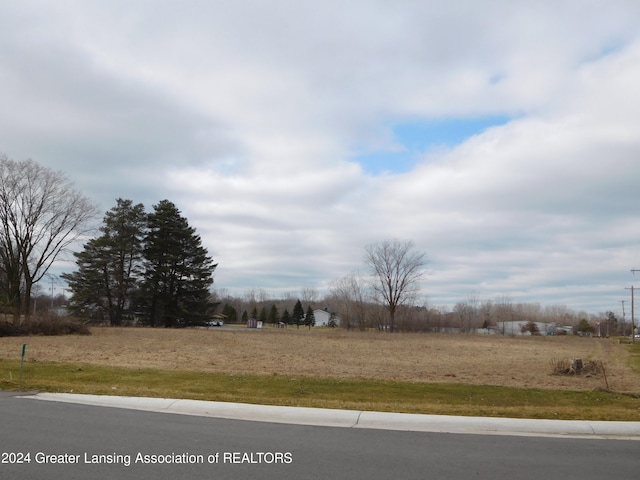 00 N Cedar Rd, Mason MI, 48854 land for sale