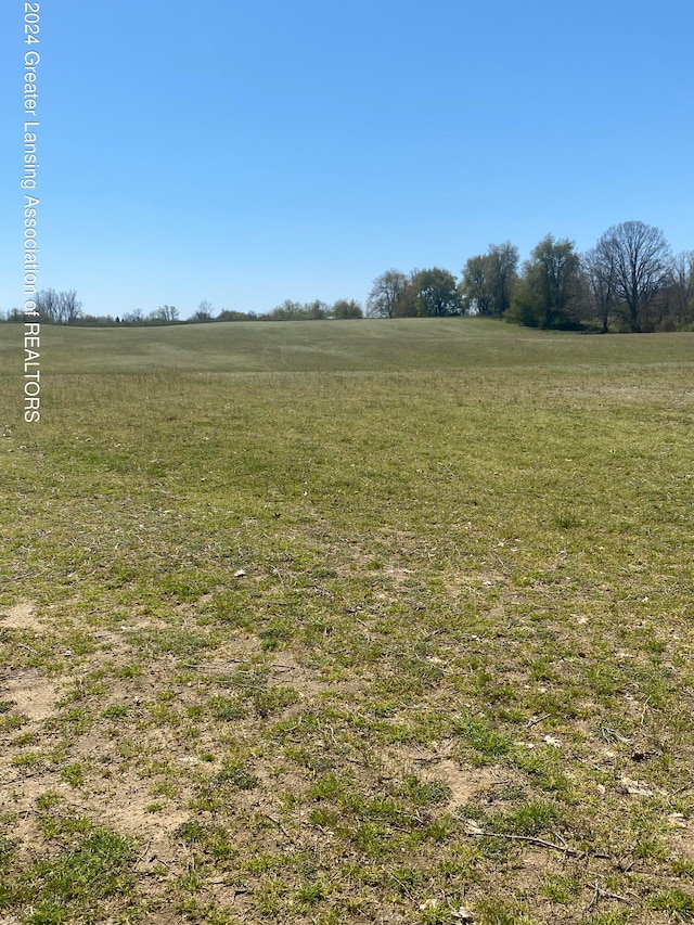 0 Wallace St, Williamston MI, 48895 land for sale