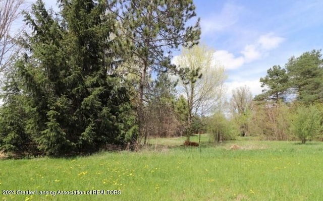 4118 Sebring Dr, Lansing, MI 48911 - photo 1