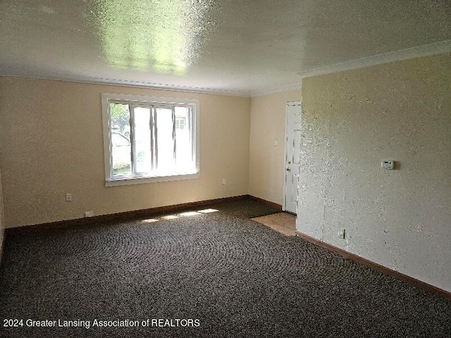 empty room featuring carpet flooring and a textured ceiling