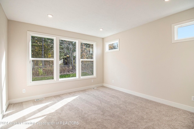 carpeted empty room with a wealth of natural light