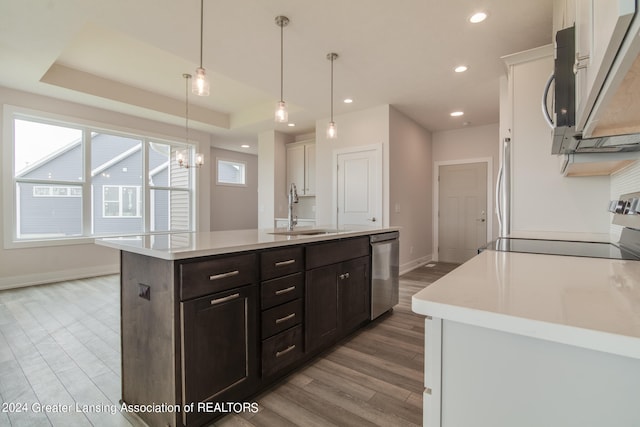 kitchen with a kitchen island with sink, appliances with stainless steel finishes, sink, a raised ceiling, and light hardwood / wood-style floors