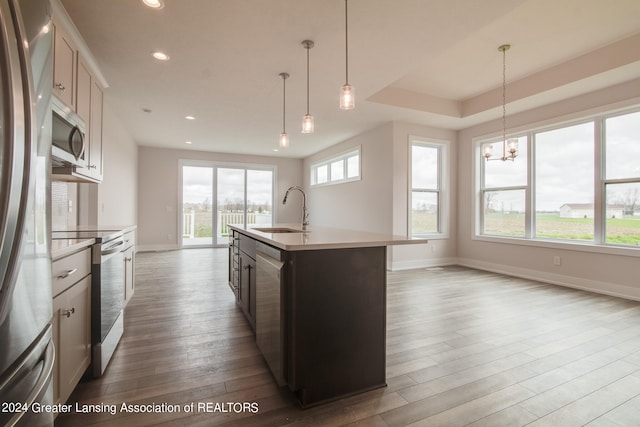 kitchen with plenty of natural light, stainless steel appliances, a center island with sink, wood-type flooring, and sink