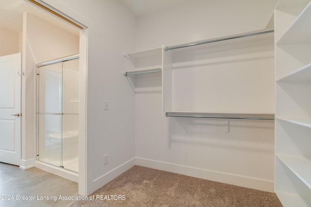 walk in closet featuring carpet flooring