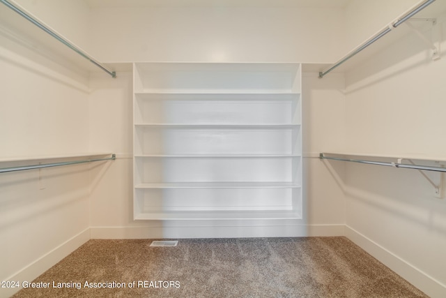 walk in closet featuring carpet floors