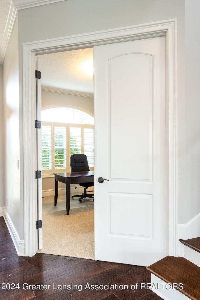 interior space featuring hardwood / wood-style floors and ornamental molding