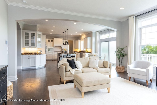 living room featuring crown molding and dark wood-type flooring