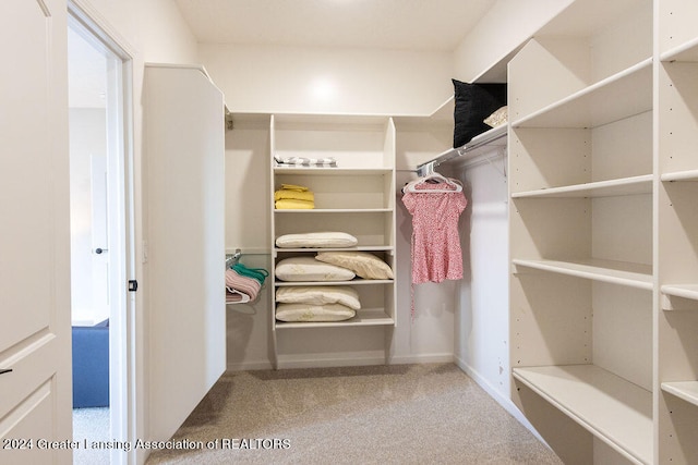 spacious closet with light carpet