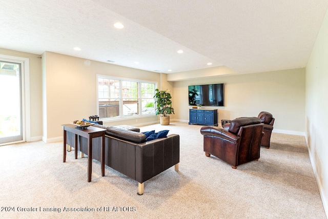 living room featuring a textured ceiling and light carpet