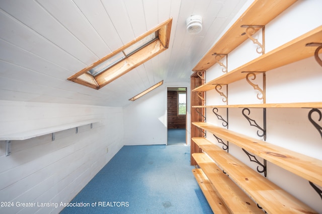 storage area with a skylight