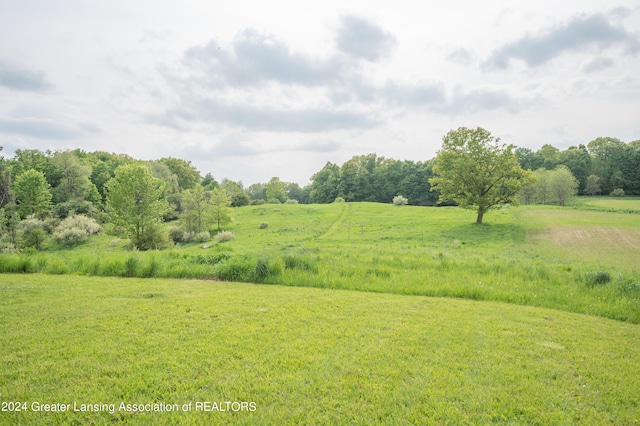 view of yard featuring a rural view