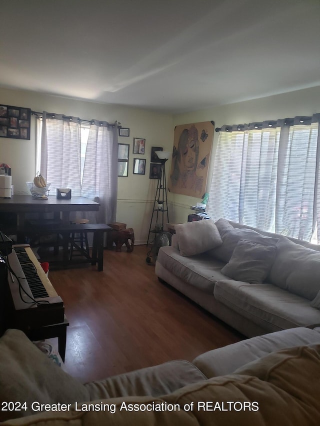 living room with hardwood / wood-style flooring and plenty of natural light