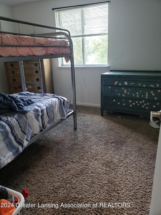 bedroom with carpet floors