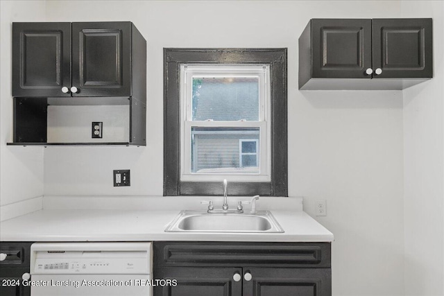 kitchen featuring sink and white dishwasher