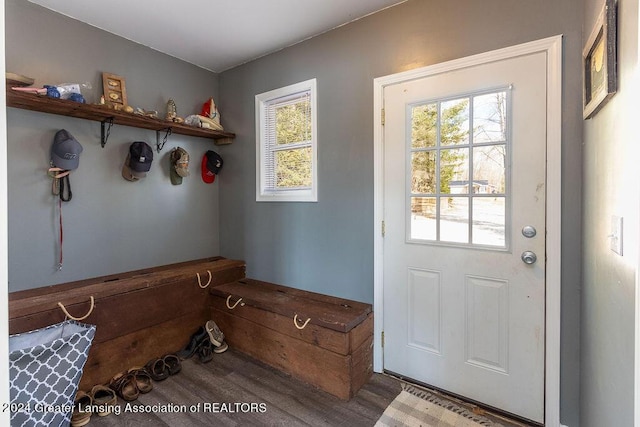 411 N Scott Dr, Farwell, MI 48622 - mudroom featuring wood finished floors