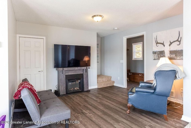 411 N Scott Dr, Farwell, MI 48622 - living area featuring wood finished floors and a glass covered fireplace
