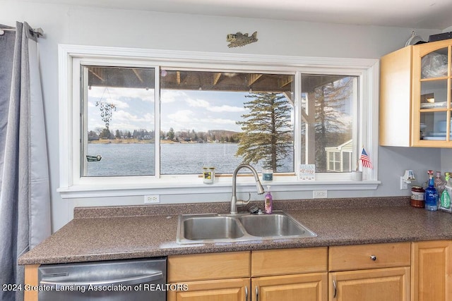 411 N Scott Dr, Farwell, MI 48622 - kitchen featuring stainless steel dishwasher, dark countertops, and glass insert cabinets