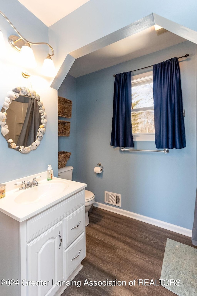 411 N Scott Dr, Farwell, MI 48622 - bathroom featuring wood finished floors and vanity