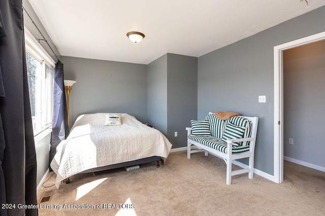 411 N Scott Dr, Farwell, MI 48622 - bedroom featuring carpet flooring and baseboards