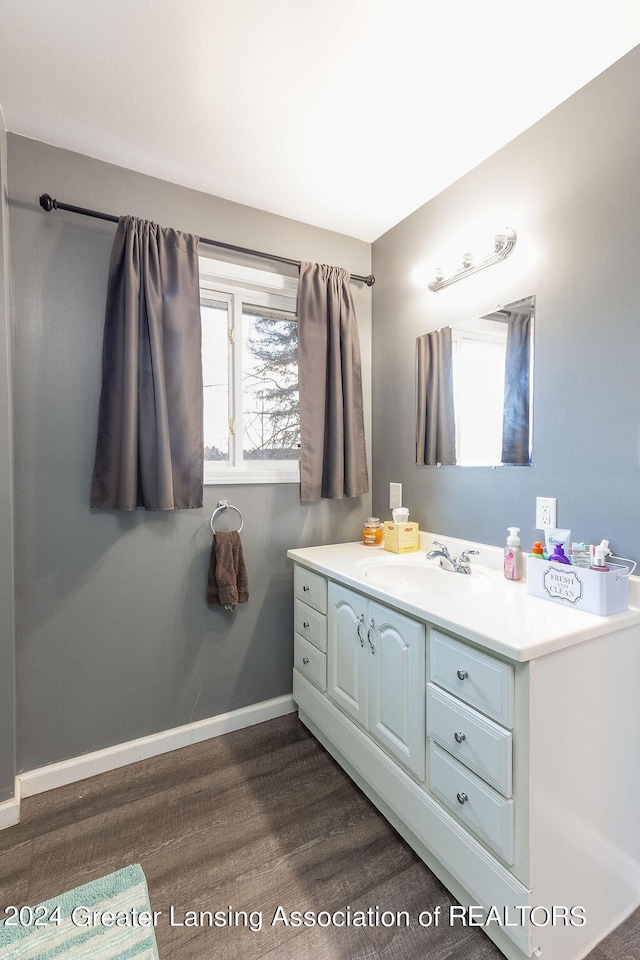 411 N Scott Dr, Farwell, MI 48622 - bathroom featuring wood finished floors and vanity