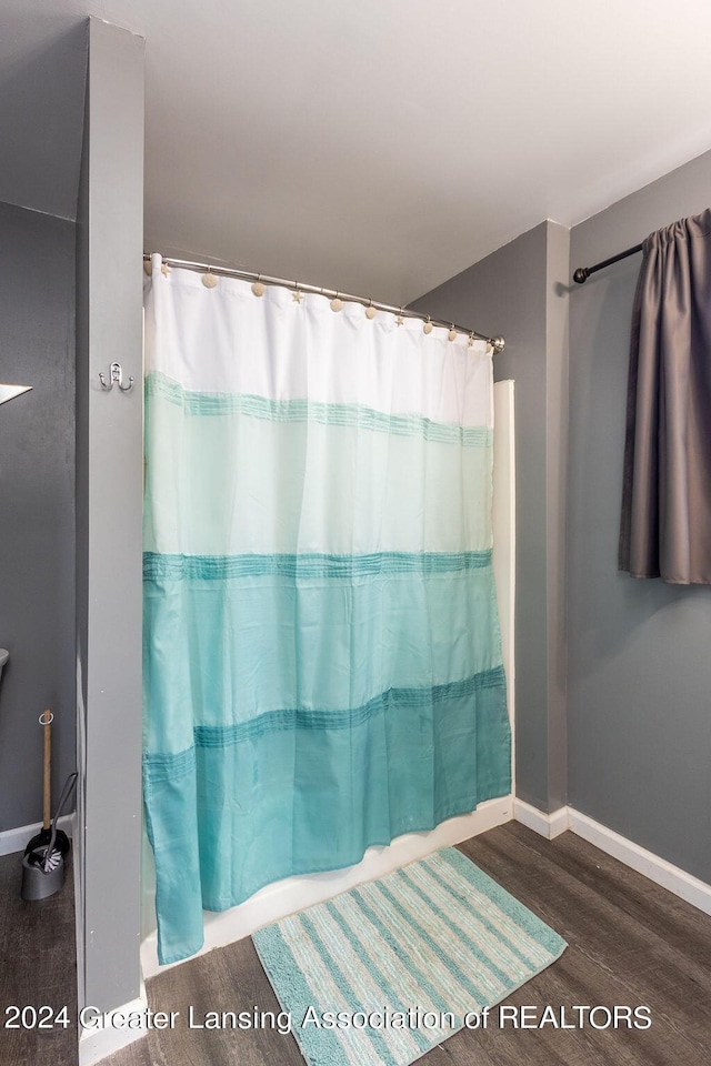 411 N Scott Dr, Farwell, MI 48622 - bathroom featuring wood finished floors and baseboards