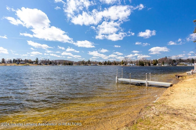 411 N Scott Dr, Farwell, MI 48622 - dock area with a water view