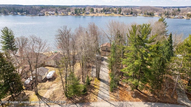 411 N Scott Dr, Farwell, MI 48622 - drone / aerial view of a large body of water