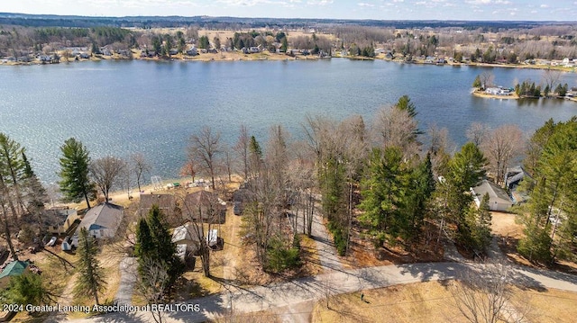 411 N Scott Dr, Farwell, MI 48622 - aerial view of property's location featuring a large body of water