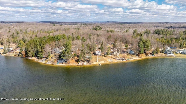 411 N Scott Dr, Farwell, MI 48622 - bird's eye view of a large body of water and a heavily wooded area