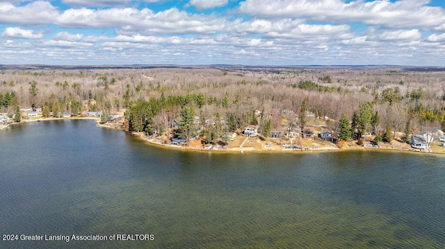 411 N Scott Dr, Farwell, MI 48622 - aerial view of a nearby body of water