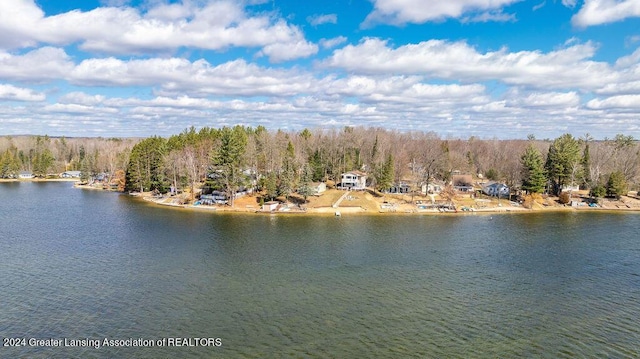 411 N Scott Dr, Farwell, MI 48622 - water view featuring a heavily wooded area