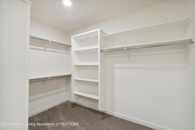 walk in closet featuring carpet flooring