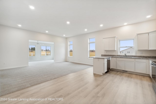 302 Vansickle Dr Unit 35, Charlotte, MI 48813 - kitchen featuring a sink, appliances with stainless steel finishes, open floor plan, recessed lighting, and light wood-style flooring