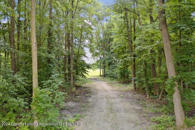 0 E Lansing Rd, Morrice, MI 48857
