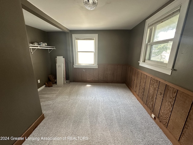 carpeted empty room featuring wooden walls and a healthy amount of sunlight