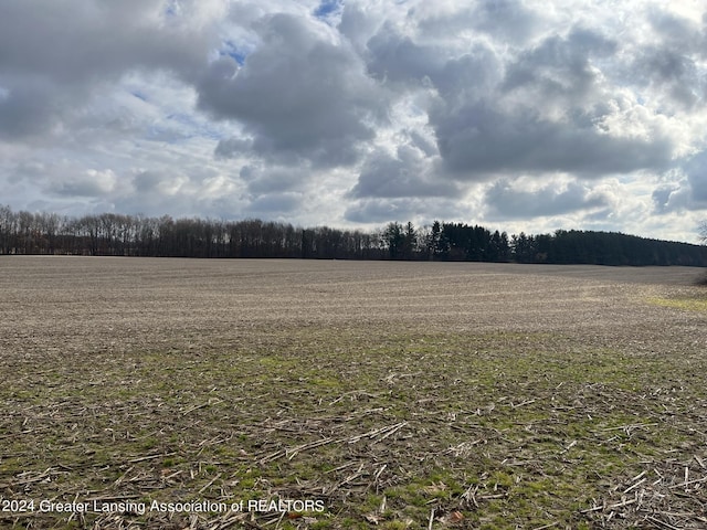 0 Green St, Springport, MI 49284