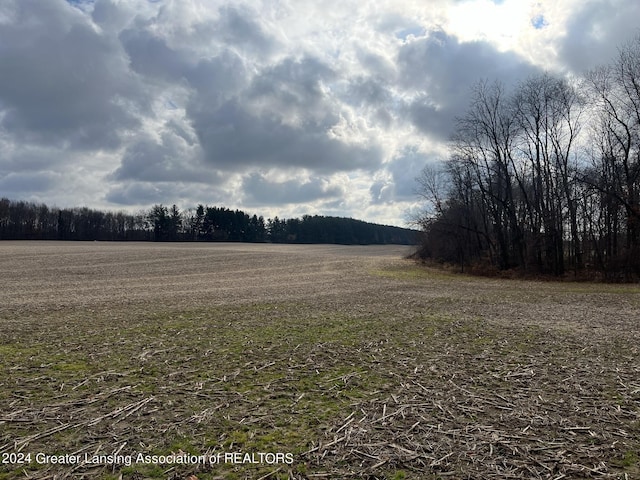 0 Green St, Springport, MI 49284