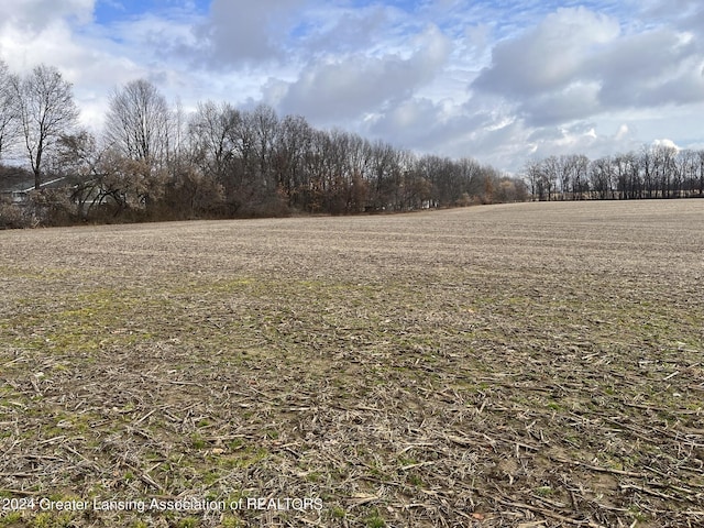0 Green St, Springport, MI 49284