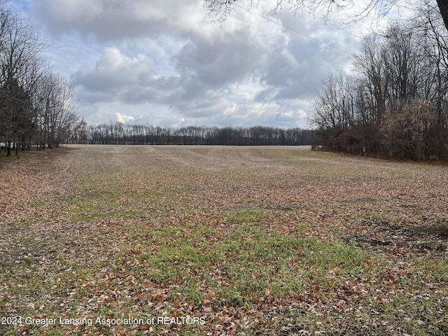 0 Green St, Springport, MI 49284
